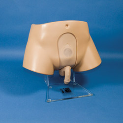 Stand for teaching self catheterisation